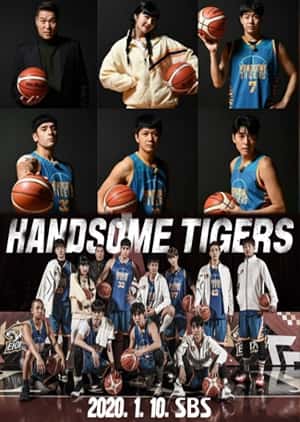 Handsome Tigers Subtitle Indonesia