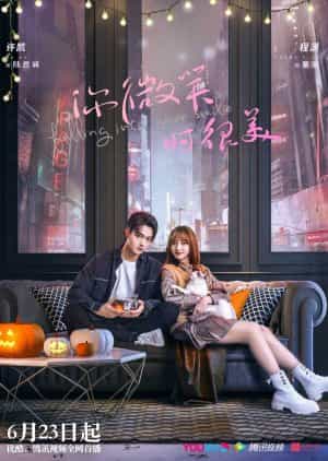 Download Falling into Your Smile Subtitle Indonesia