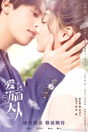 Download Fall In Love With Him Subtitle Indonesia