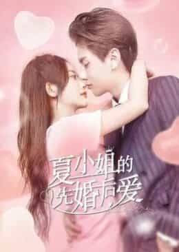 Love Starts Form Marriage Subtitle Indonesia