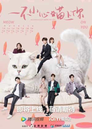 Nodrakor Accidentally Meow on You Subtitle Indonesia